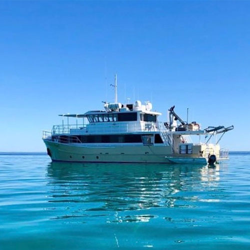 KIMBERLEY-PEARL-charters-blue-water
