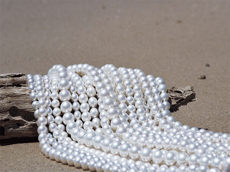 CYGNET-BAY-PEARL-FARM-tour