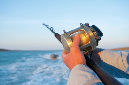 Kimberley Quest reels