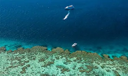 Coral-Expeditions-At-The-Reef