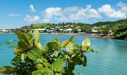 Thursday Island coral-expeditions