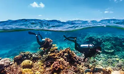 ASHMORE REEF coral expeditions
