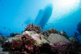 ODYSSEY Rowley SHoals view of vessel hull