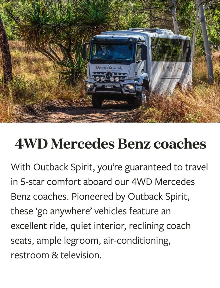 4WD-MERCEDES-BUSES