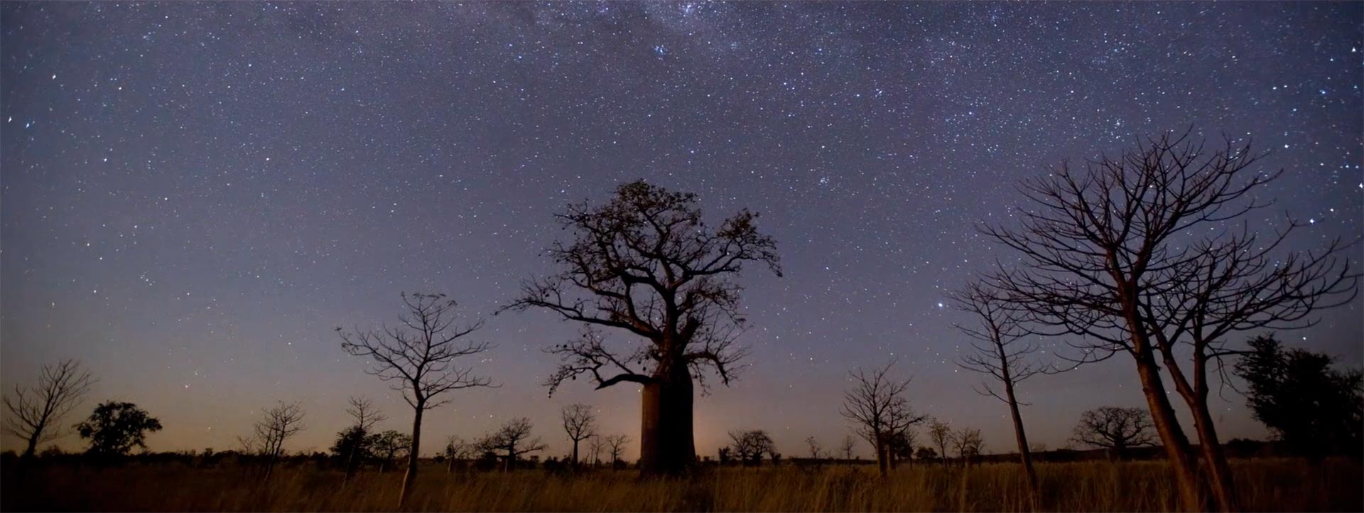 OUTBACK-SPIRIT-Kimberley-Cape-Leveque-tours-night-stars