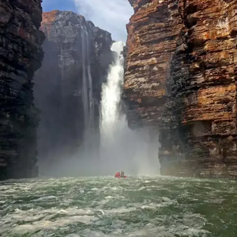 CORAL-ADVENTURER-prices-box