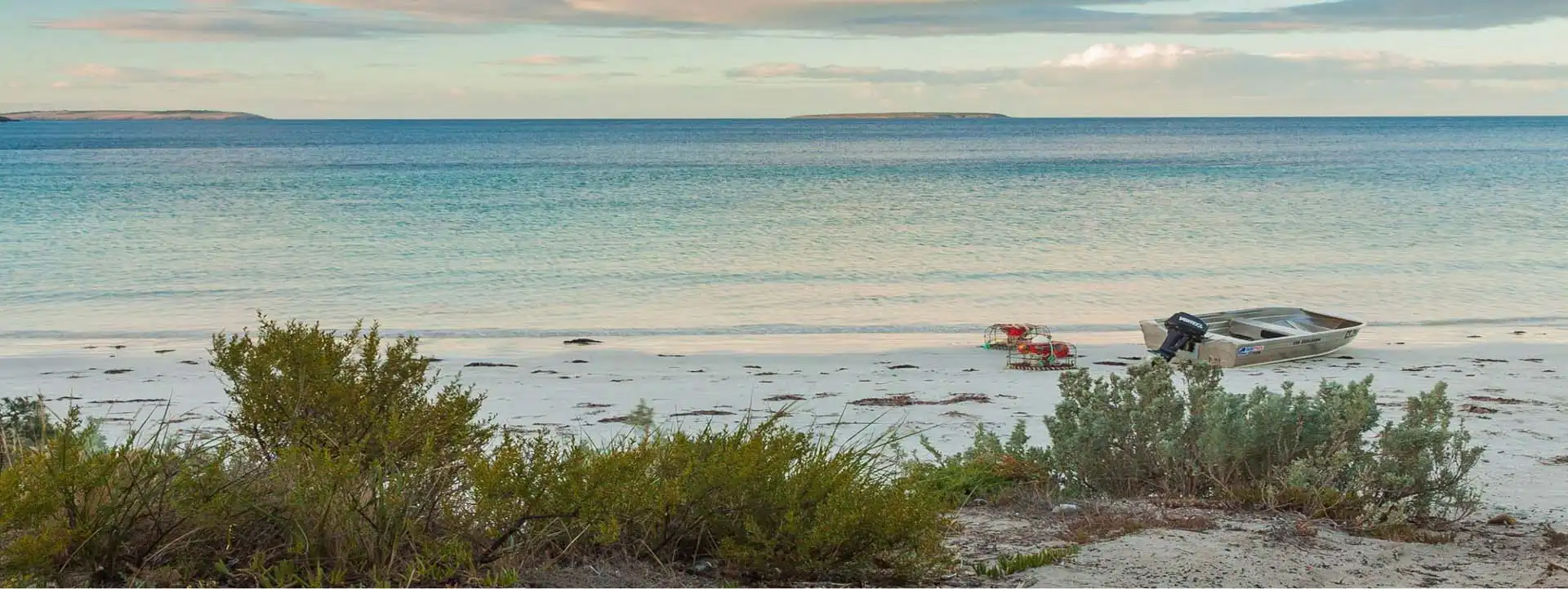 CORAL-ADVENTURER-solo-cruise-deal-Wild-Islands-itinerary