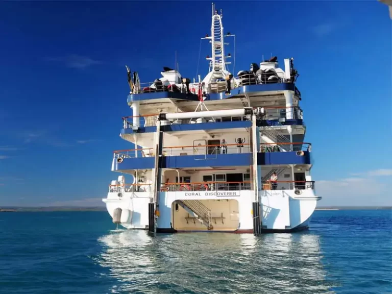 CORAL-DISCOVERER-stern-view
