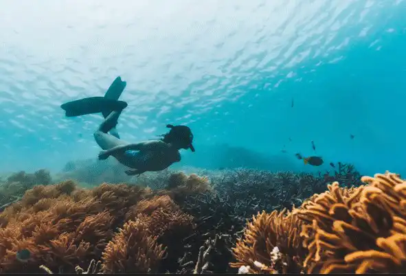 INDIAN-PACIFIC-REEF-TO-REEF-package INDIAN-PACIFIC-REEF-TO-REEF-package