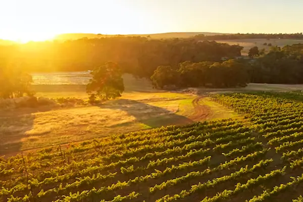 INDIAN-PACIFIC-MARGARET-RIVER-journey-holiday-package-2023