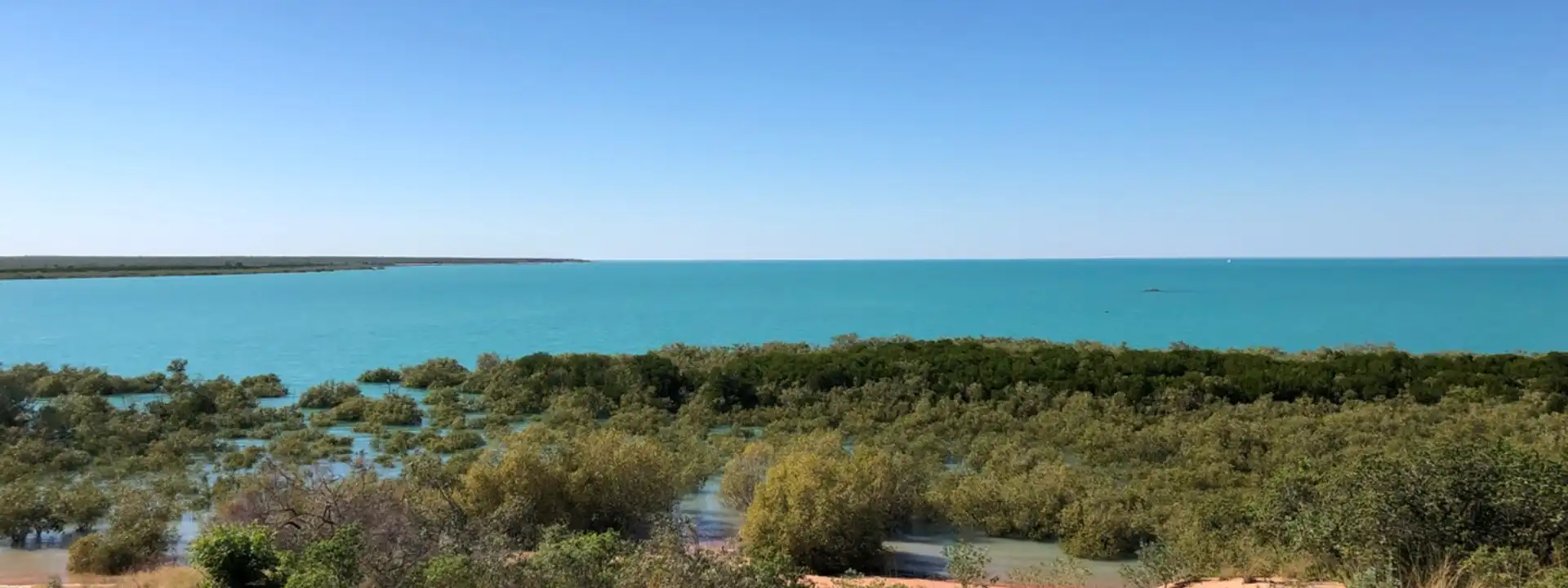 STAIRCASE TO THE MOON Mangrove Hotel