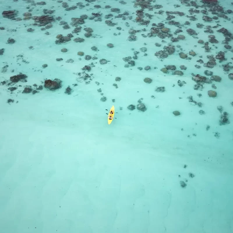 QUEEN-ELIZABETH-FAQ-800x800_c QUEEN-ELIZABETH-FAQ-800x800_c