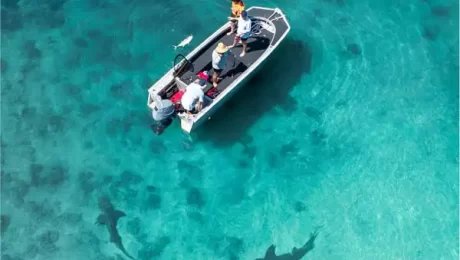 20-OFF-DIVERSITY-III-Kimberley-Cruise 20-OFF-DIVERSITY-III-Kimberley-Cruise