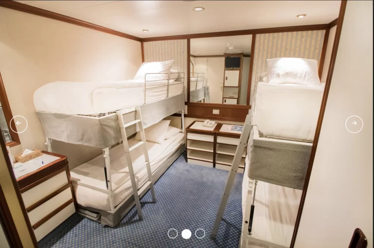 PACIFIC EXPLORER interior room cabin quad bunks