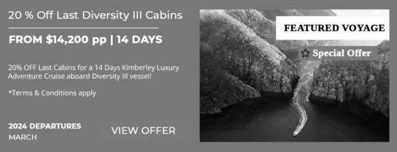 20-OFF-LAST-DIVERSITY-III-CABINS-DEAL-box-image-expired