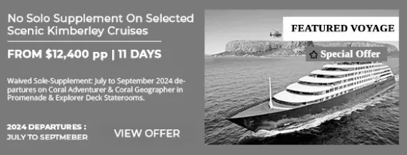 NO-SOLO-SUPPLEMENT-SCENIC-expired-image-box-final