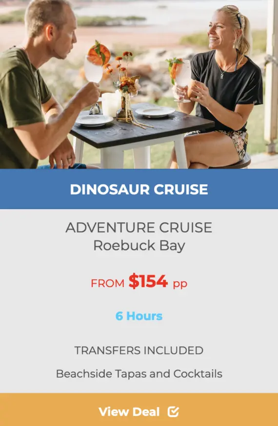 "DINOSAUR- DINOSAUR- ADVENTURE -CRUISE-portfolio-imag