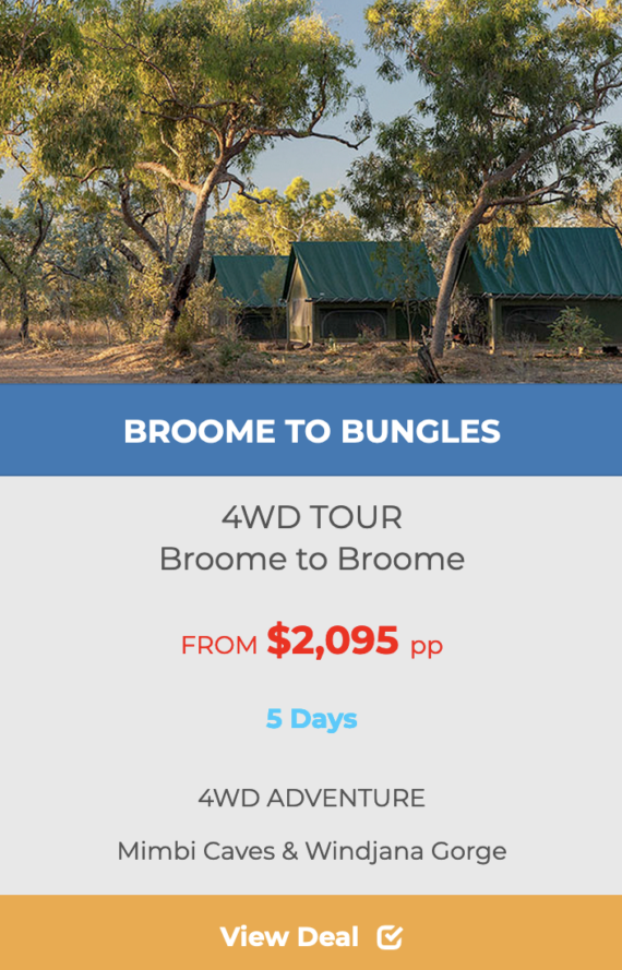 BROOME-BUNGLE-BUNGLES-4WD-TOUR-portfolio-image-final