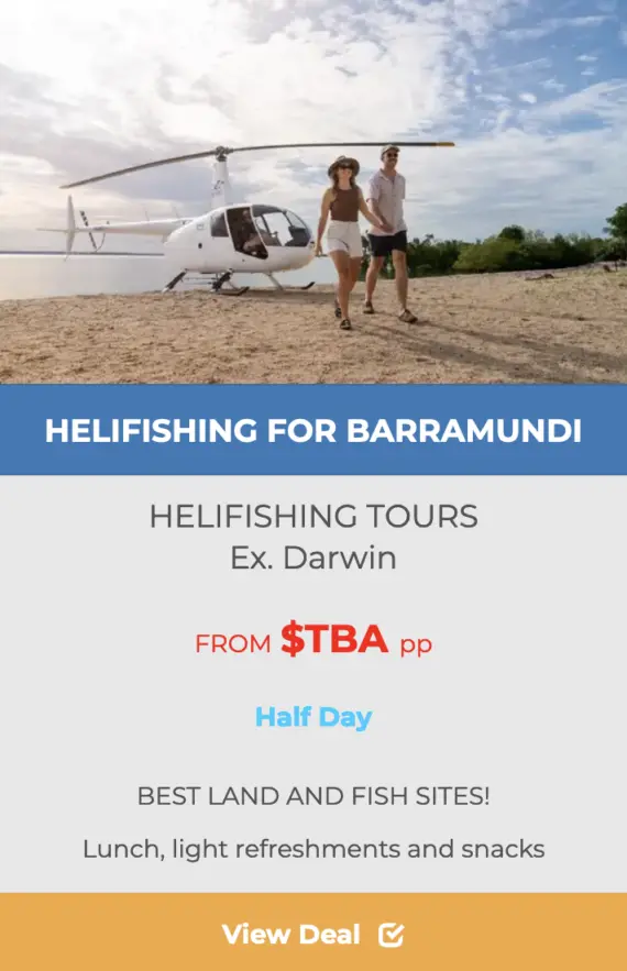 DARWIN-HELI-PUB-CRAWLS-TOURS -portfolio- image
