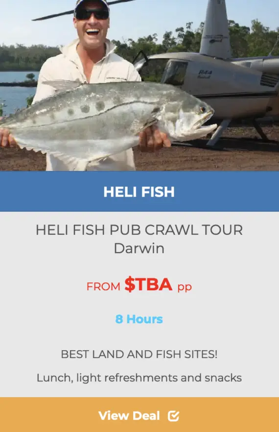 HELI -FISH -PUB -CRAWL -DARWIN-portfolio-image