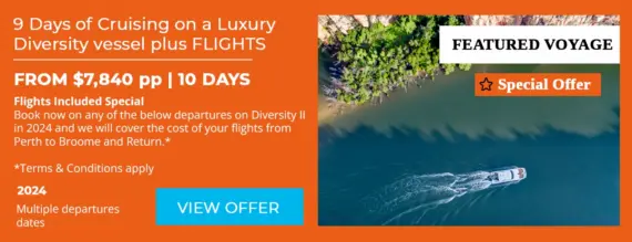 DIVERSITY -II-FLIGHTS-INCLUDED-2024-OFFER-image-portfolio