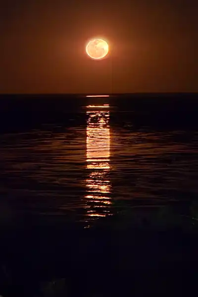 STAIRCASE to the Moon by Amanda Patterson STAIRCASE to the Moon by Amanda Patterson