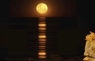 STAIRCASE-TO-THE-MOON-2025-dates-image