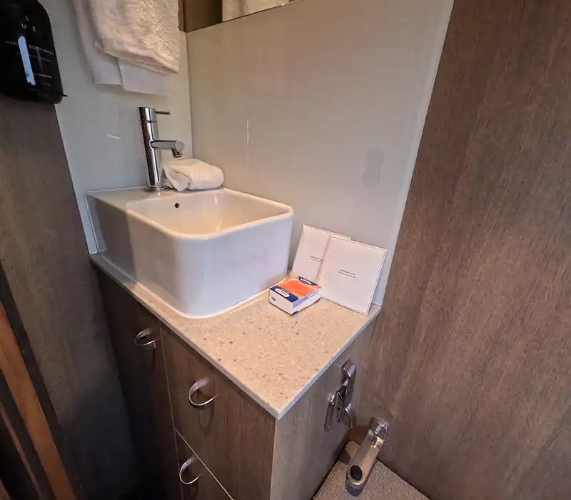 Gold Single wash basin copy Gold Single wash basin copy