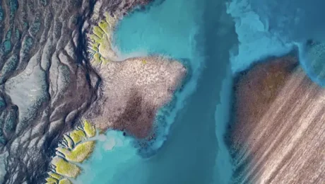 MONTGOMERY REEF HIGHLIGHTS TOUR