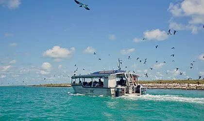 Lacepede-Island-KIMBERLEY SOLO CRUISE DEALS BROOME TO DARWIN 2026 Lacepede-Island-KIMBERLEY SOLO CRUISE DEALS BROOME TO DARWIN 2026