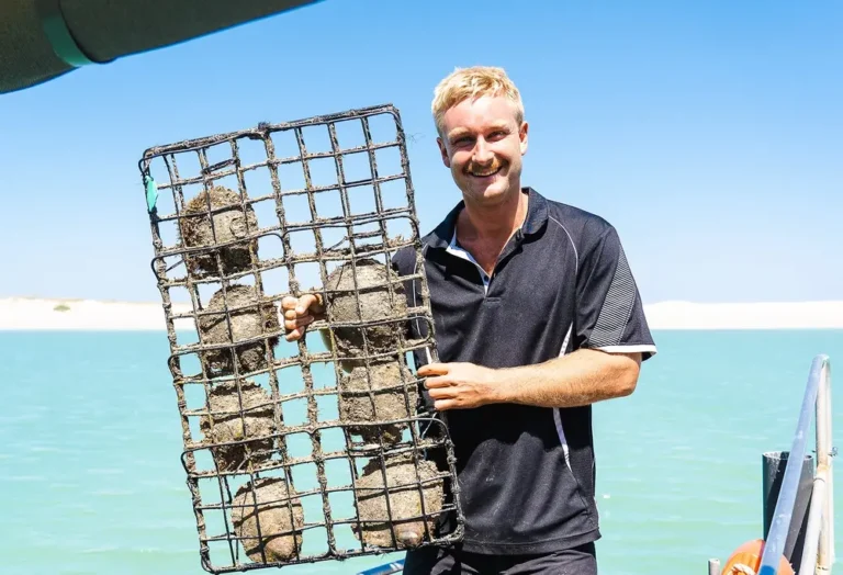WILLIE CREEK PEARL FARM TOUR oysters in rack