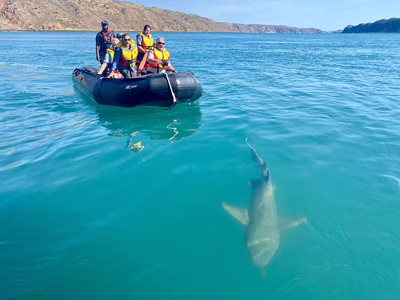 CORAL EXPEDITIONS tender shark at Horizontal Falls CORAL EXPEDITIONS tender shark at Horizontal Falls