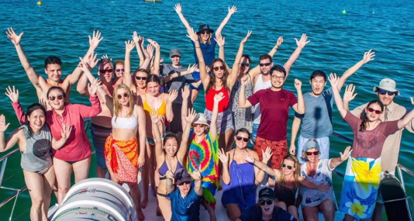 Why Book with BlueSun Travel -HERON-WHALE-SHARK-SWIM-DIVE