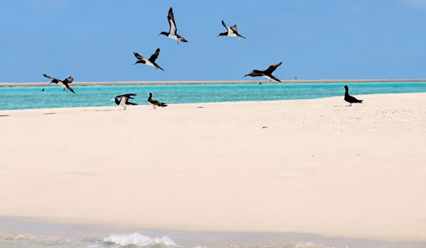 Ashmore Reef_PONANT Le Jaques Cartier Kimberley Cruise Destination