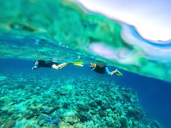 Coral Expediions Ningaloo and Rowley Shoals deal image small