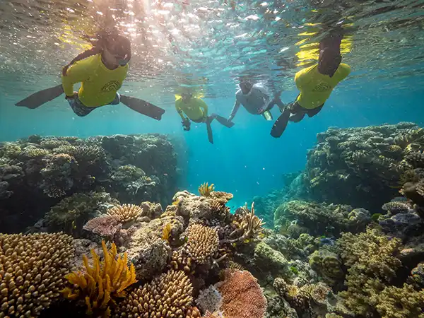 Coral Expeditions Science & Conservation on the Great Barrier Reef deam image small Coral Expeditions Science & Conservation on the Great Barrier Reef deam image small