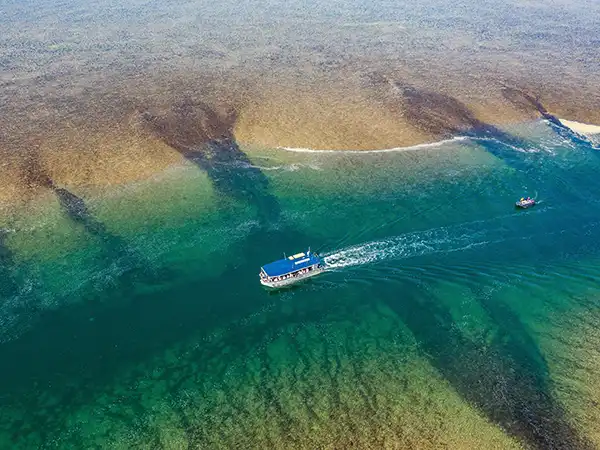 Coral Frontiers & Kimberley Icons cruise deal image small